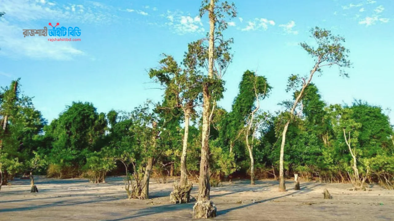 রাখাইন পল্লী