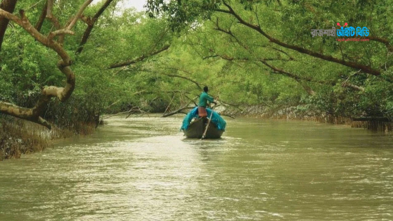 ফাতরার বন